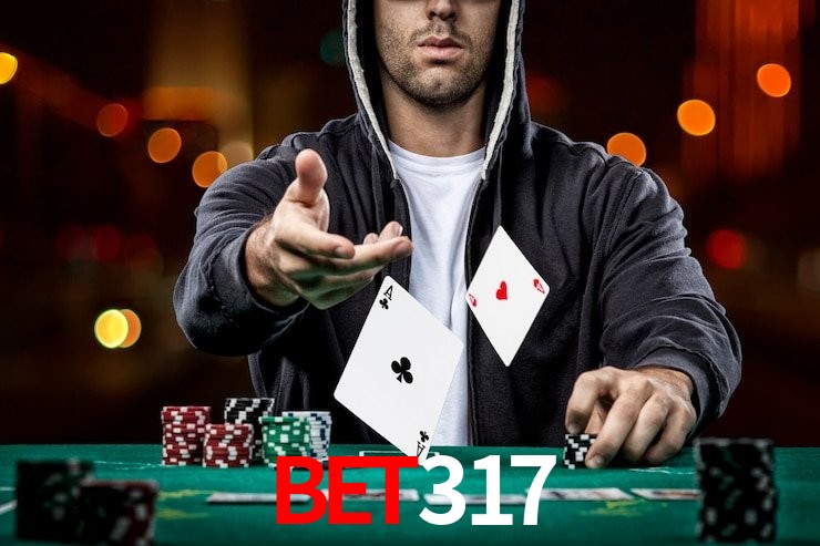 Interface Premium bet317